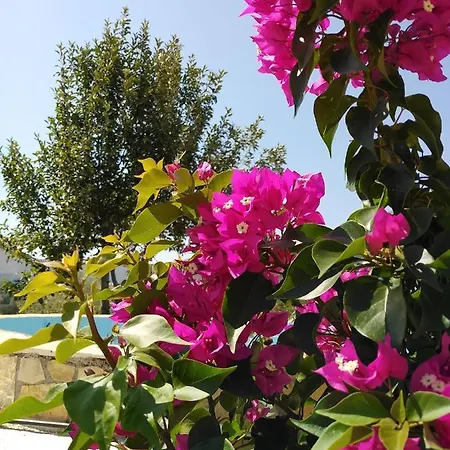 بيت للعطل With Pool In Tzanata Kefalonia *